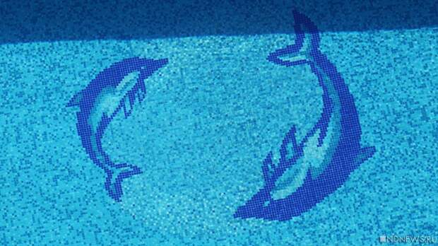 Генсекретарь Федерации водных видов спорта России: Екатеринбург может принять чемпионат Европы в 2028 году