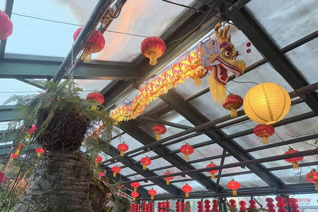 Праздник весны в «Аптекарском огороде»: Драконы встречают Новый год