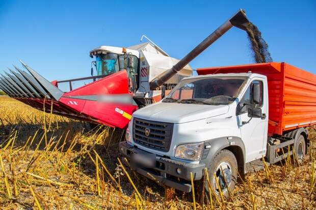 Кабмин направит 26,5 млрд рублей на льготные кредиты аграриям