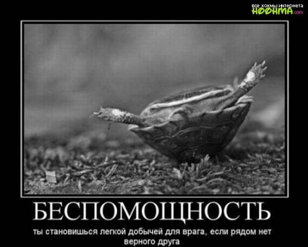 Демотиваторы. Выпуск 42
