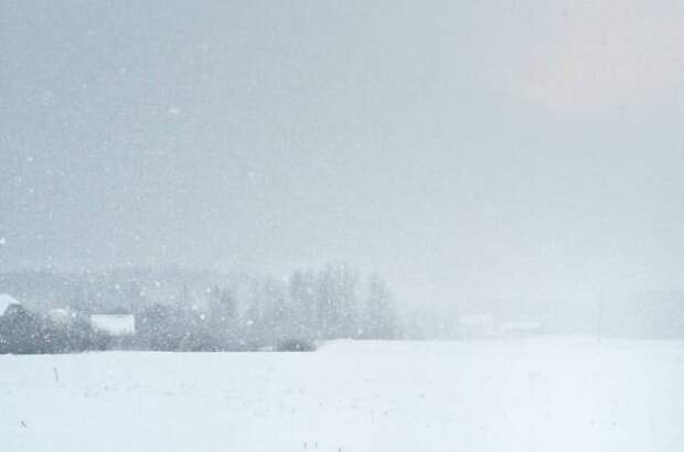 Россия - зона рискованного земледелия. Зимой все сельскохозяйственные угодья страны почти на полгода покрываются глубоким снегом