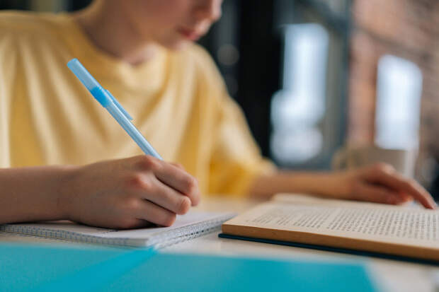 Кравцов и Воробьев дали старт финалу олимпиады по МХК для школьников