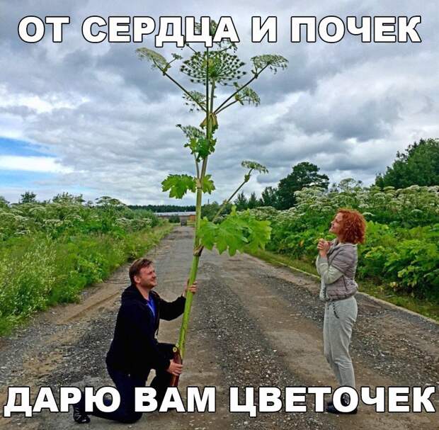 Позитивные картинки с надписью для поднятия настроения (12 фото)
