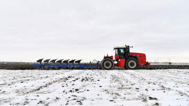 Апрельский холод ударил по урожаю: аграрии забили тревогу
