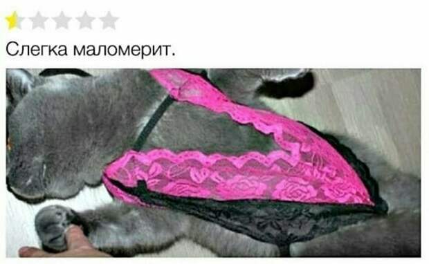 Не забываем о братьях наших меньших алиэкспресс, интернет-магазины, онлайн-торговля, отзывы, смешно, юмор