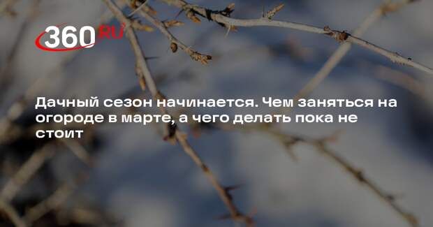 Агроном Маслов: в марте на даче стоит обрезать и побелить плодовые деревья