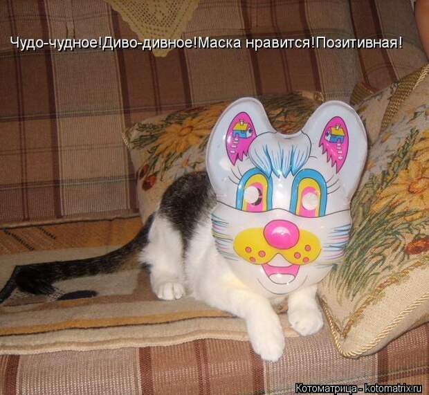 Котоматрица: Чудо-чудное!Диво-дивное!Маска нравится!Позитивная!