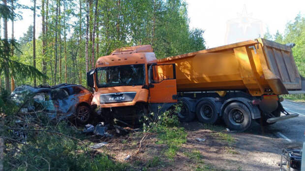 Первый тестировавший вакцину «Спутник V» 45-летний ученый погиб в ДТП