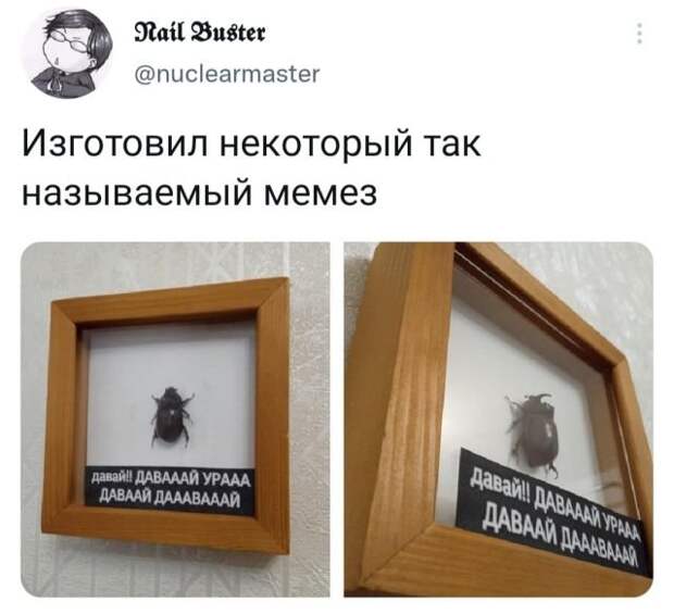 Подборка забавных твитов обо всем