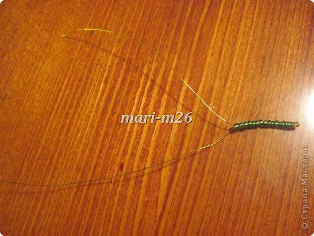 img_5004_0 (520x390, 63Kb)