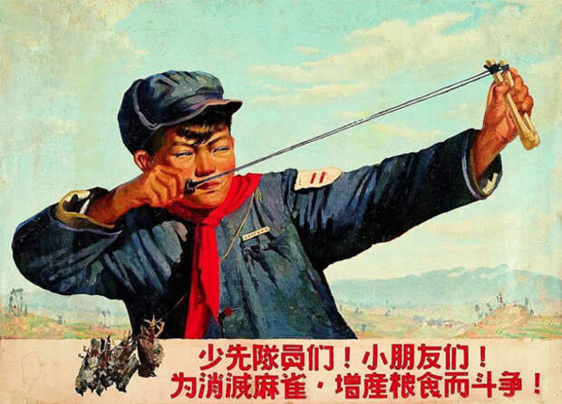 12 февраля 1958 года китайский лидер Мао Цзэдун подписал исторический указ об уничтожении в стране всех крыс, мух, комаров и воробьев