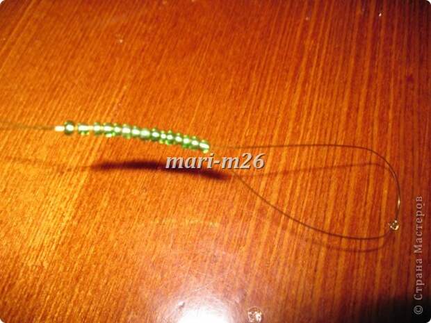 img_5003_0 (520x390, 68Kb)