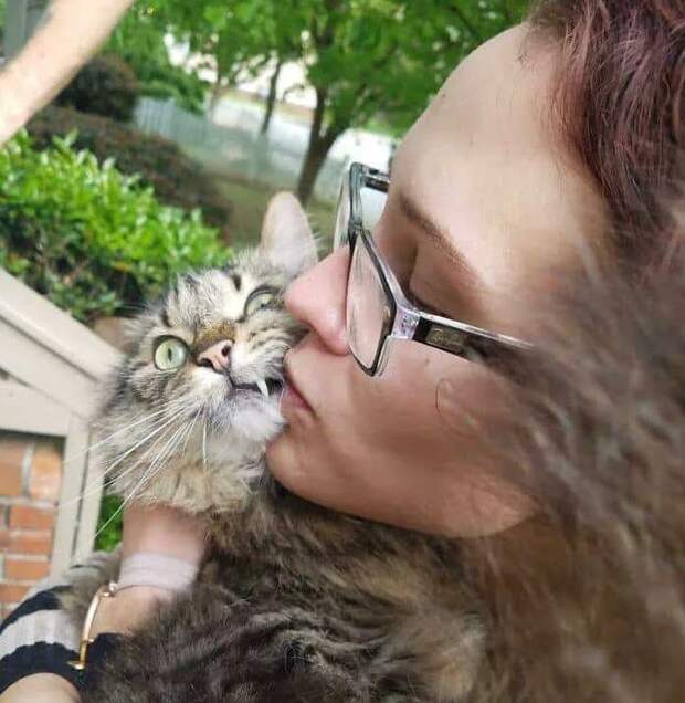 Котейки, которые терпеть не могут эти ваши поцелуйчики