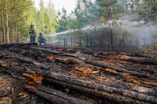 Ситуацию с лесными пожарами в Рязанской области взяли под контроль – Малков