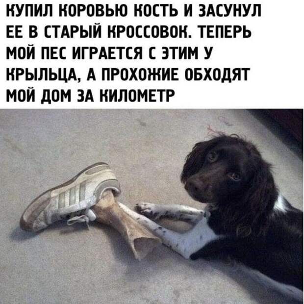 Бедные соседи Бедные соседи