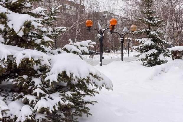 Сохранение статуса наукограда, громкие уголовные дела года, мировое соглашение ТОСК и ТСК: что писали про область федеральные и межрегиональные СМИ