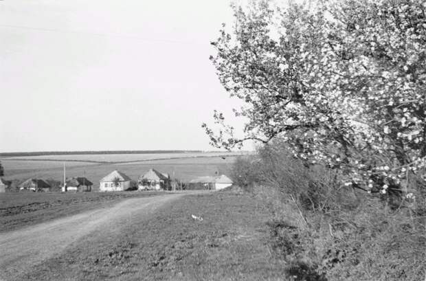 Фотограф Франц Грассер в Белгородской области. 1943