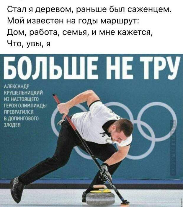 199699_15_trinixy_ru.jpg