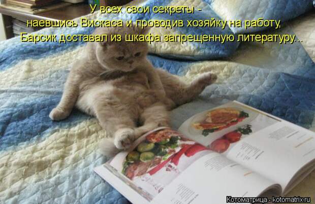 Котоматрица: Барсик доставал из шкафа запрещенную литературу... наевшись Вискаса и проводив хозяйку на работу, У всех свои секреты -