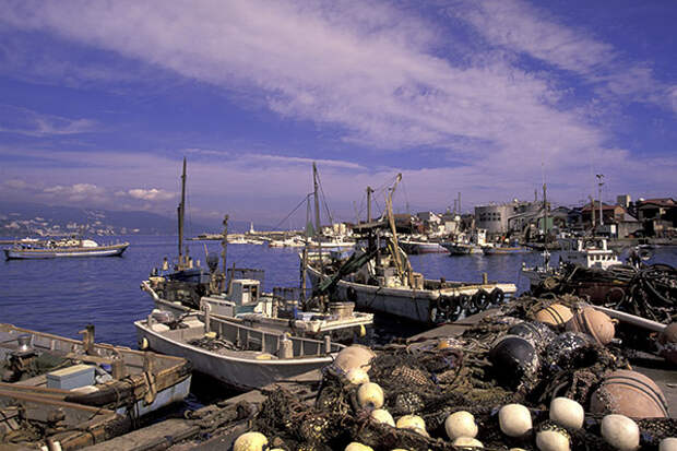 Япония назвала неприемлемой позицию России по рыбному промыслу у Курил
