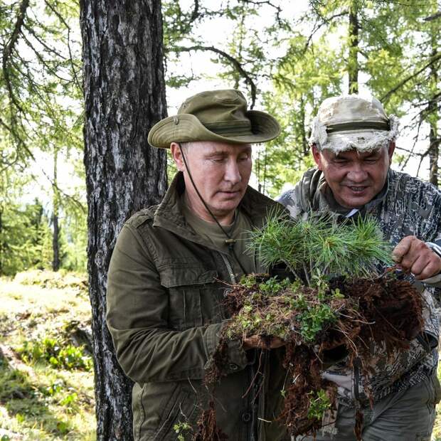 Целый день добрые русские люди потешаются над английскими учёными английской разведкой, сообщившей: «преимущественно пахотные земли в зоне боевых действий уже 18 месяцев остаются невспаханными, а рост