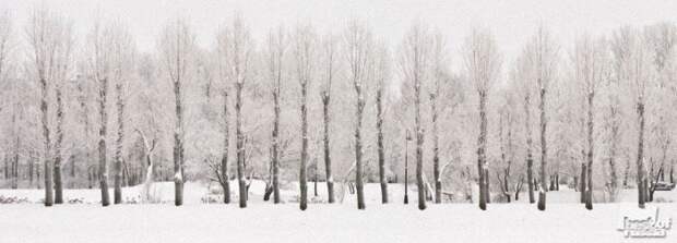 Лучшие фотографии России 2011. Номинация Природа