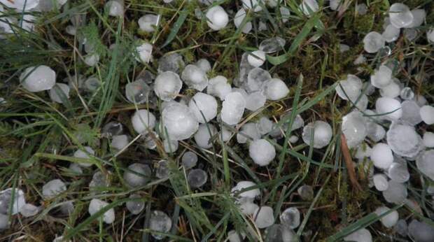 Разработка способна сократить потери сельскохозяйственных культур от града в южных регионах страны на 70-90%