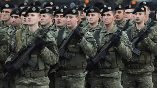 Глава МИД Австрии не считает решение Косова создать армию полезным