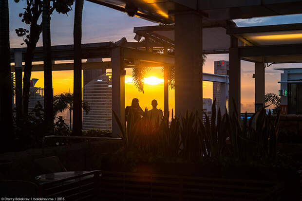 Отель Marina Bay Sands в Сингапуре