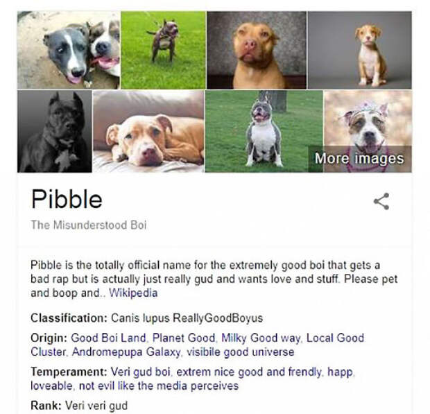 Pibble