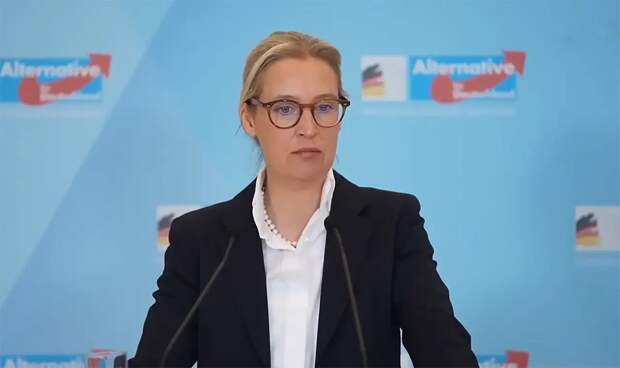 Сопредседатель «АдГ»: Украина стала коррупционной трясиной для Германии