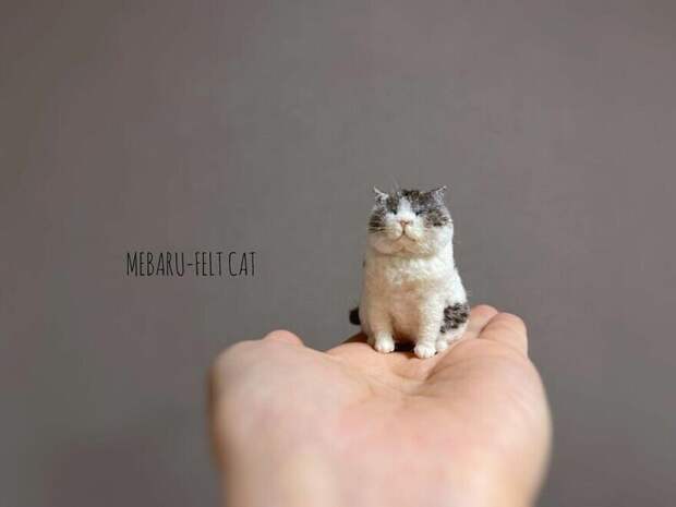 Милота дня: японская художница делает котов из войлока