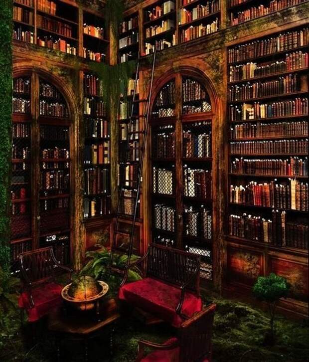 Для любителей почитать библиотеки, книги, люди
