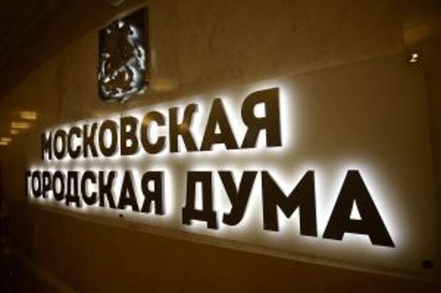 Депутат МГД Елена Николаева: В ходе реновации возведут свыше 400 объектов социальной инфраструктуры. Фото: сайт мэра Москвы
