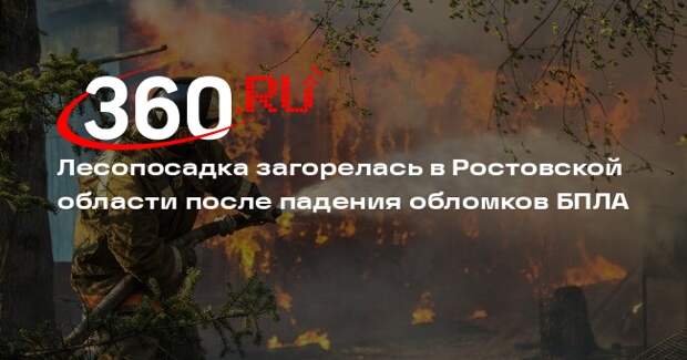 Лесопосадка загорелась в Ростовской области после падения обломков БПЛА