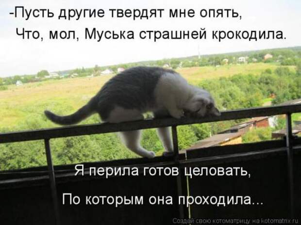Котоматрицы (картинки с надписями)