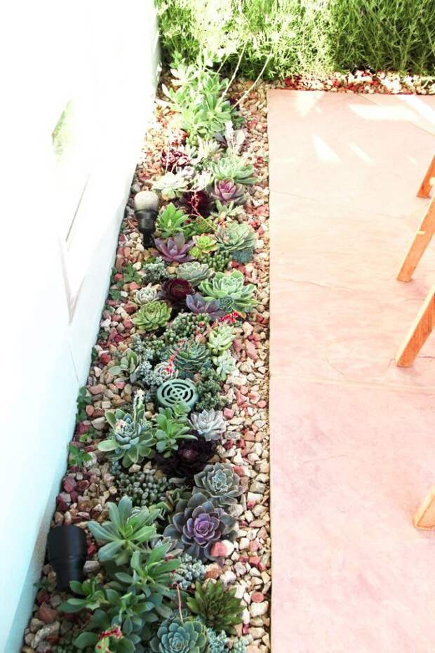Миниатюрный сад камней с карликовыми растениями, размещенный по периметру террасы, добавит индивидуальности вашей зоне отдыха