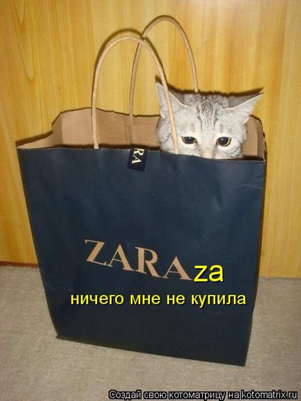 Котоматрица - za ничего мне не купила