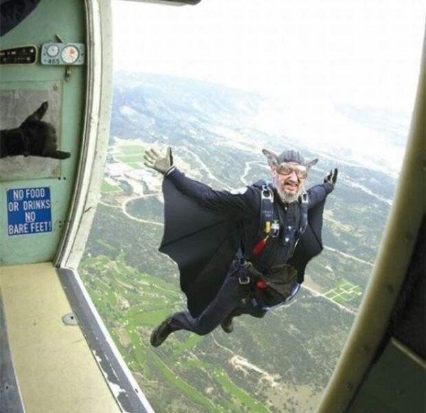 Прикольные картинки