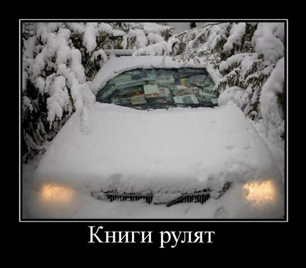 Демотиваторы бревно, демотиваторы, юмор