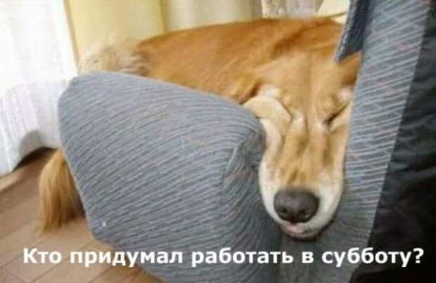 Коллекция весёлых картинок про субботу