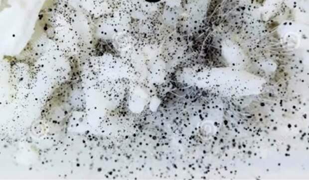 Неприглядная картина - показатель качества. /Фото: sovkusom.ru