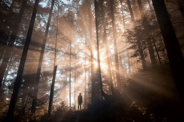 Фото: Elizabeth Gadd