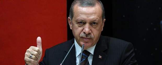 ГЕРМАНИЯ ЗАПРЕТИЛА ЭРДОГАНУ ВЫСТУПАТЬ НА ПОЛЯХ САММИТА G20