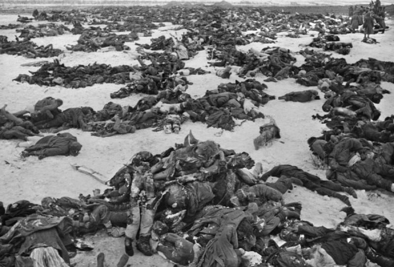 Русских должно было остаться всего лишь 14 миллионов Русских должно было остаться всего лишь 14 миллионов
