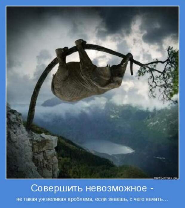Мотиваторы, умные фразы и высказывания.