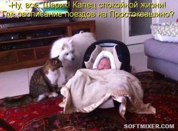 ae19eb23a8f1da9d7e31d4ae5c3_prev