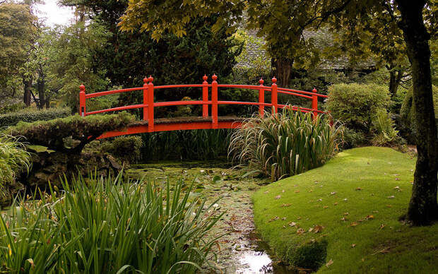 Irish National Stud & Japanese Gardens