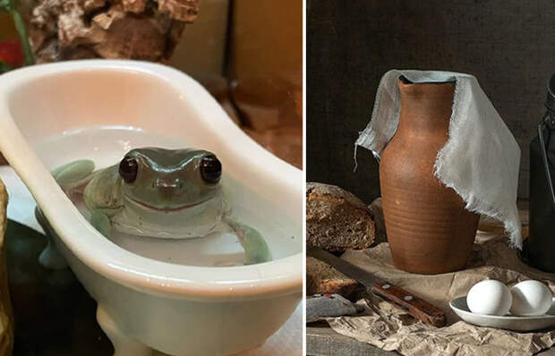 Пь способов, как на Руси использовали лягушку.