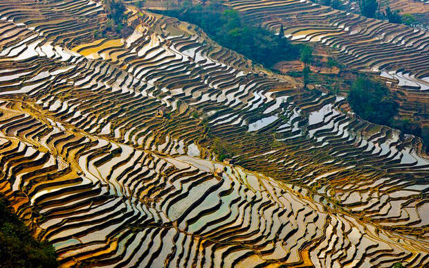 yunnan rice terraces2 26 Рисовые террасы Хунхэ Хани включены в Список Всемирного наследия ЮНЕСКО